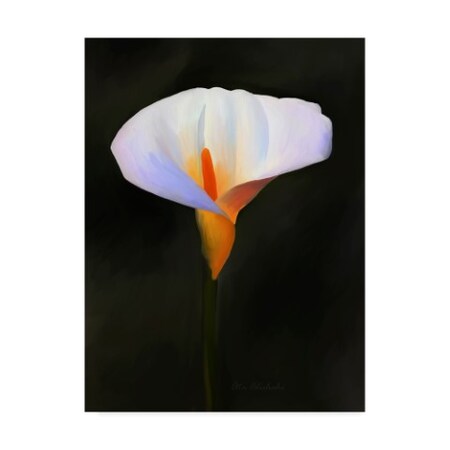 Trademark Fine Art